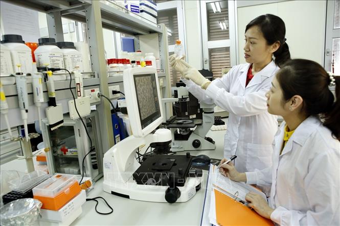 PGS.TS. Nguyễn Lê Khánh Hằng (đứng) trong phòng thí nghiệm.