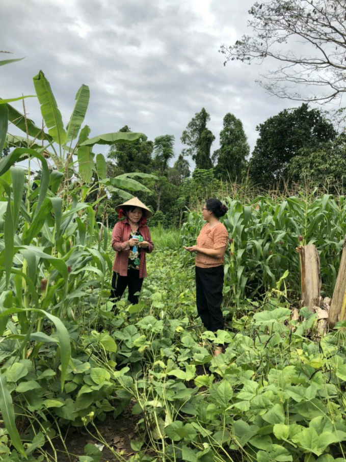 Chị Yến chia sẻ với những hộ liên kết trong mô hình vườn rừng