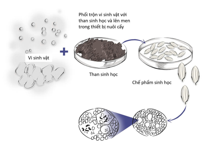 Quy trình sản xuất chế phẩm xử lý ô nhiễm dầu