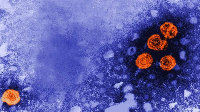 Nhiều ca bị viêm gan bí ẩn tại Anh, Mỹ nhiễm thêm adenovirus và/hoặc SARS-CoV-2. Ảnh: CNN.