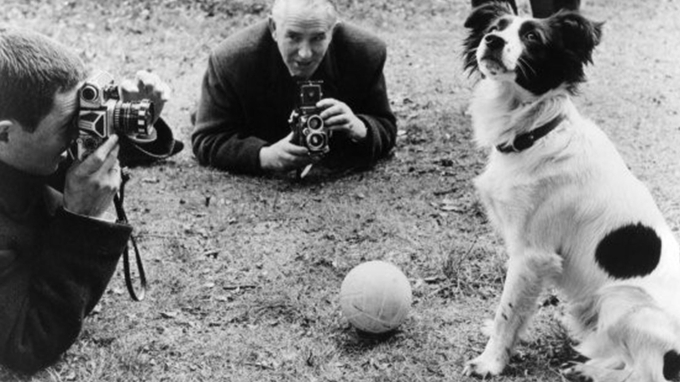 Chú chó Pickles cùng chủ nhân trở nên nổi tiếng sau khi tìm thấy chiếc cúp Jules Rimet bị đánh cắp. Ảnh: Foto Eurosport.