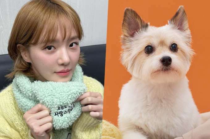 Park Gyu Young và chú cún đặc biệt trong A Good Day to Be a Dog