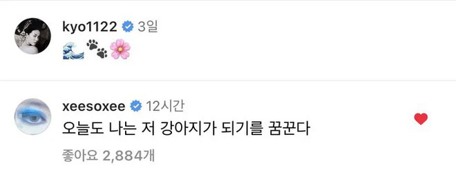 Han So Hee để lại bình luận hài hước dưới bài đăng của Song Hye Kyo: “Hôm nay em mơ mình trở thành bé cún đó ạ”