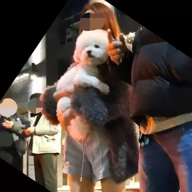 Nghệ sĩ trẻ ôm ấp chó cưng sau khi gây ra vụ tai nạn giao thông