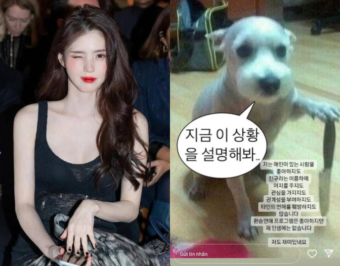 Han So Hee đăng ảnh meme chú chó cùng lời giải thích...