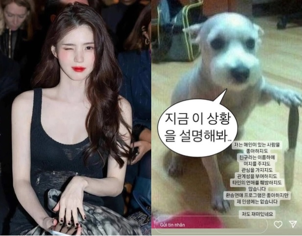 Vào chiều 15/3, Han So Hee Han So Hee đăng ảnh meme chú chó cùng chia sẻ phủ nhận là tiểu tam...