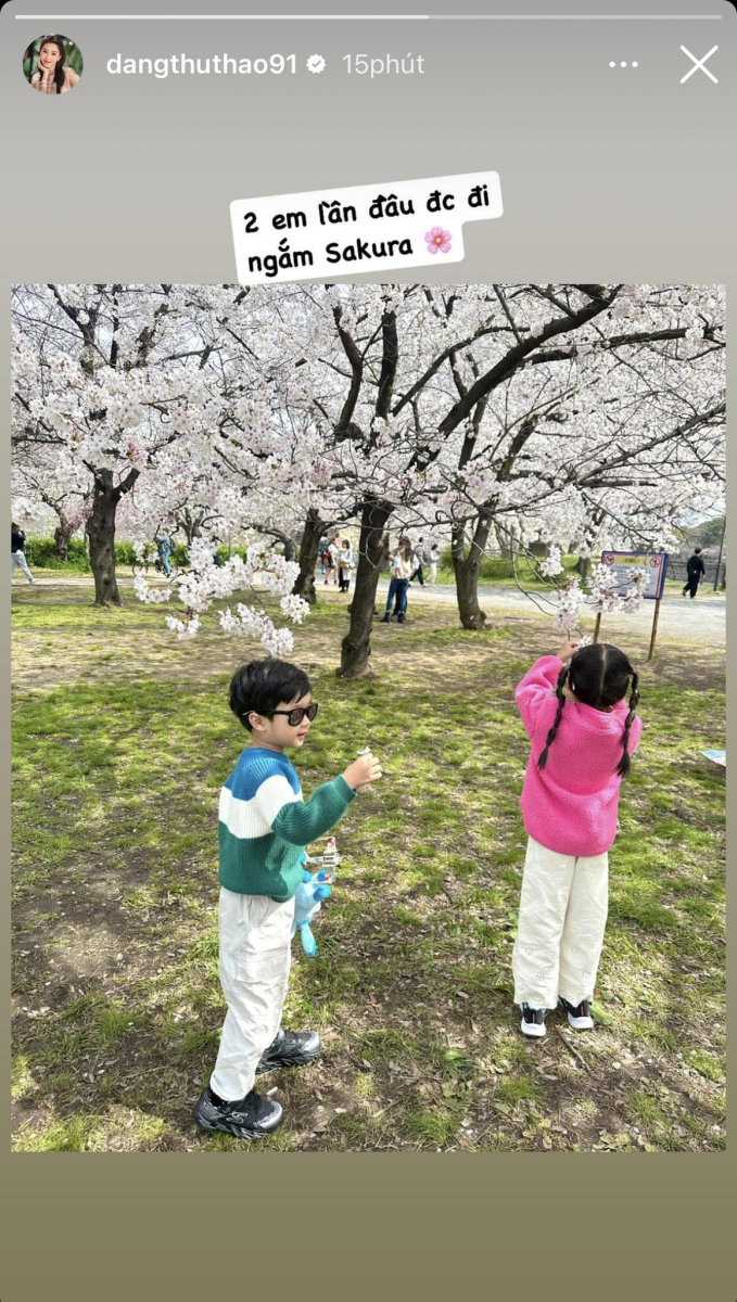 Tiểu thư và công chúa hào môn được mẹ đưa đi du lịch Nhật Bản ngắm hoa, bé trai càng lớn càng giống bố doanh nhân 