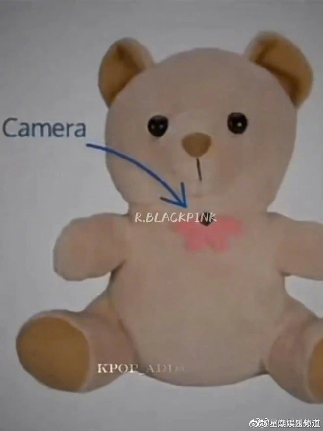   Chiếc gấu bông bị nghi có gắn camera theo dõi   