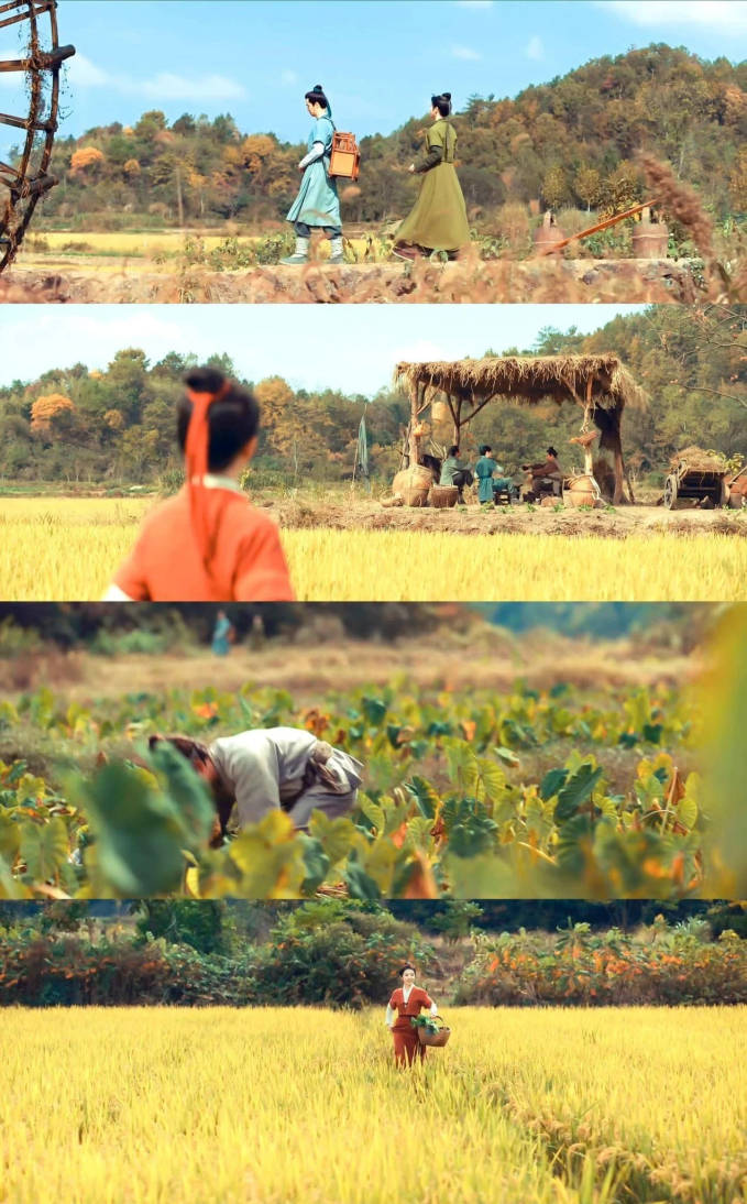 5 phim Hoa ngữ đẹp đến từng khung hình: Siêu phẩm của Lưu Diệc Phi giúp lượng khách du lịch tăng 130% 