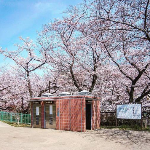   Công viên Kaga, Ishikawa.  