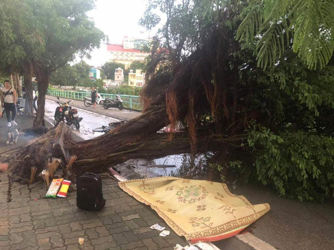 Mưa giông làm đổ hàng loạt cây trên phố Hà Nội, 1 nam thanh niên tử vong