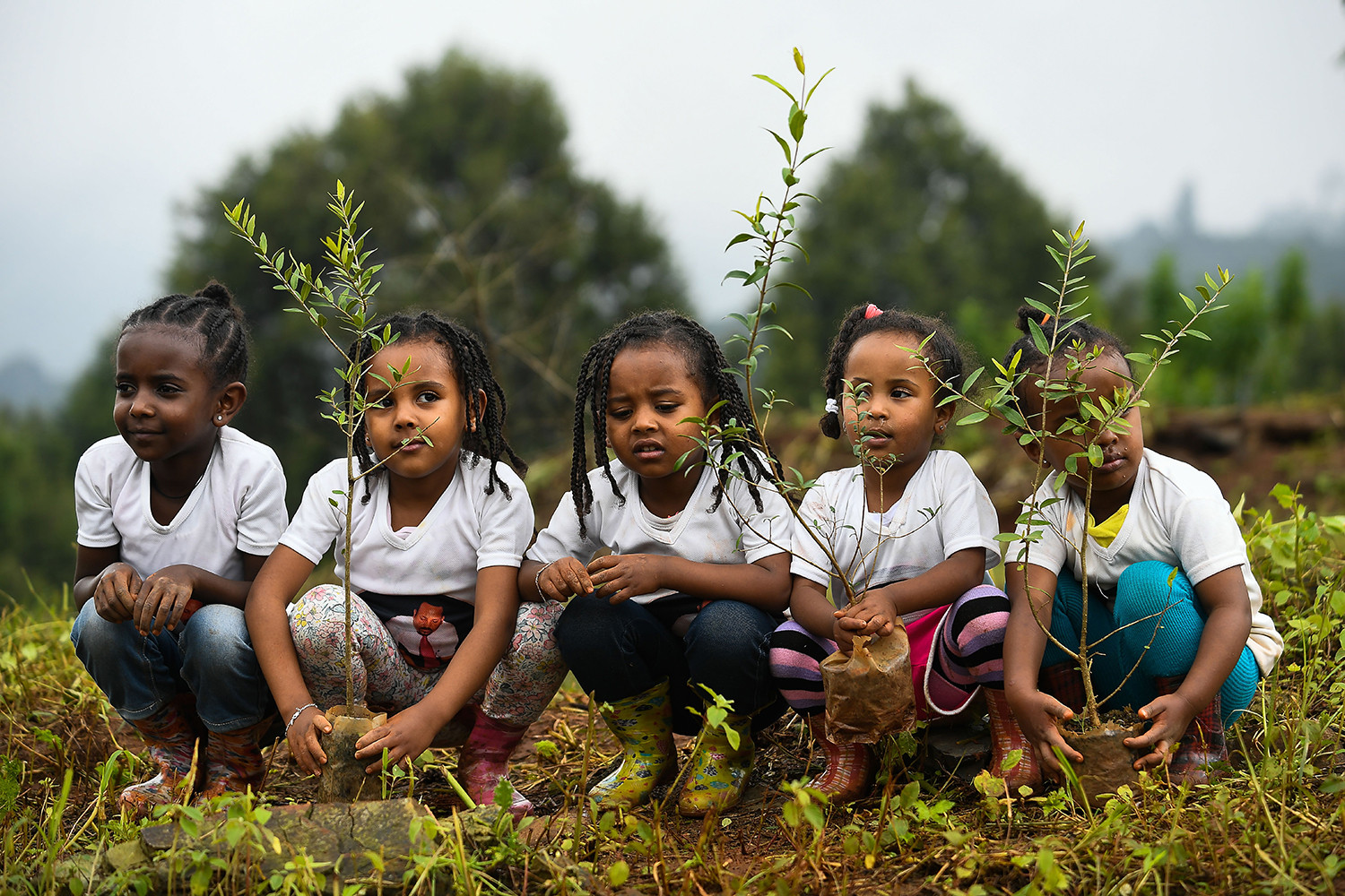   Các cô gái người Nigeria tham gia vào một hoạt động trồng cây quốc gia ở thủ đô Addis Ababa vào ngày 28/7. Ethiopia cho biết họ có kế hoạch trồng 4 tỷ cây vào tháng 10 như một phần của phong trào toàn cầu để khôi phục rừng và giúp chống biến đổi khí hậu.  