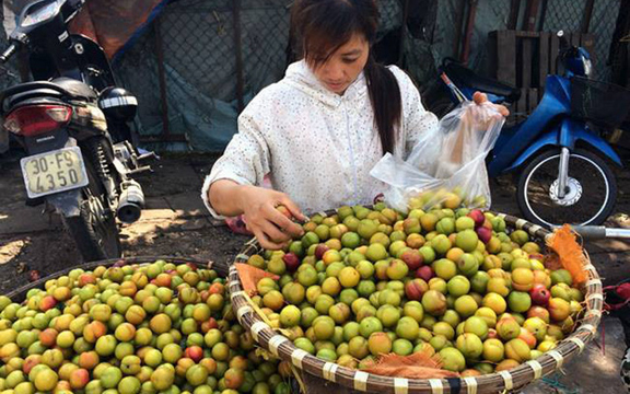 Nhiều loại trái cây Trung Quốc nhập về Việt Nam bán rẻ như cho