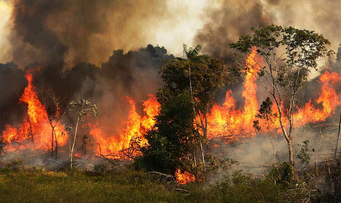 Brazil điều động quân đội, máy bay quân sự để chiến đấu với đám cháy rừng Amazon