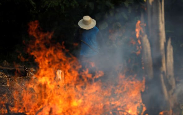   Nhiều vùng tại Brazil bị bao phủ trong khói mù do cháy rừng. Bang Amazonas đã tuyên bố tình trạng khẩn cấp ở phía Nam và tại thủ phủ Manaus vào ngày 9/8. Trong khi bang Acre, giáp biên giới giữa Brazil với Peru, đã đưa cảnh báo về môi trường kể từ ngày ngày 16/8 do khói mù từ các đám cháy rừng.  