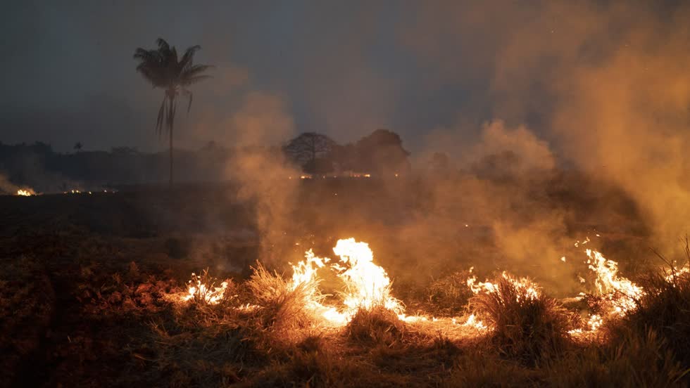   Một ngọn lửa đốt cháy một cánh đồng tại một trang trại ở thành phố Nova Santa Helena, thuộc bang Mato Grosso, Brazil hôm thứ Sáu. Dưới áp lực quốc tế ngày càng tăng để ngăn chặn các đám cháy đang quét qua các khu vực của Amazon, Tổng thống Brazil Jair Bolsonaro hôm thứ Sáu đã ủy quyền sử dụng quân đội để chiến đấu với những đám cháy lớn. Ảnh: AP  