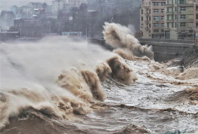 Sóng lớn do ảnh hưởng của bão Lekima ở ven biển thành phố Thai Châu, tỉnh Chiết Giang, Trung Quốc ngày 9/8/2019. Ảnh: AFP/TTXVN