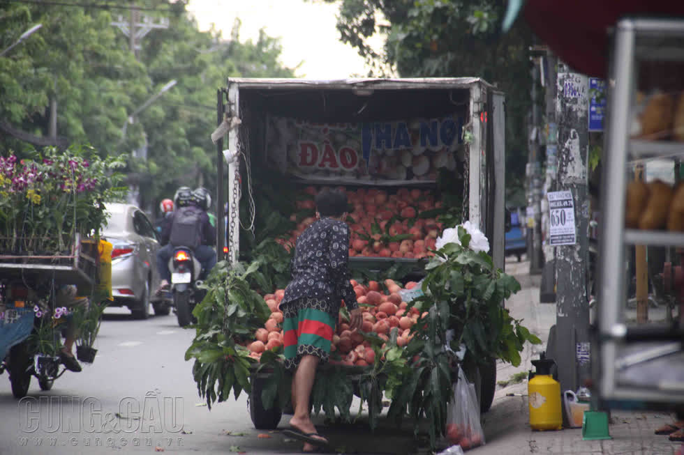   Đào tiên được bán ở lề đường tại Quang Trung (quận Gò Vấp) giá 200.000 đồng/kg.  