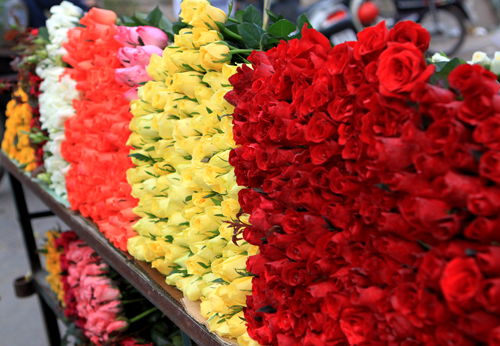   Hoa hồng, hoa mẫu đơn cũng tăng giá so với ngày thường.  