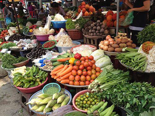 Nhiều loại rau được nhập từ các nơi khác để phục vụ cho nhu cầu tiêu thụ tại Hà Nội