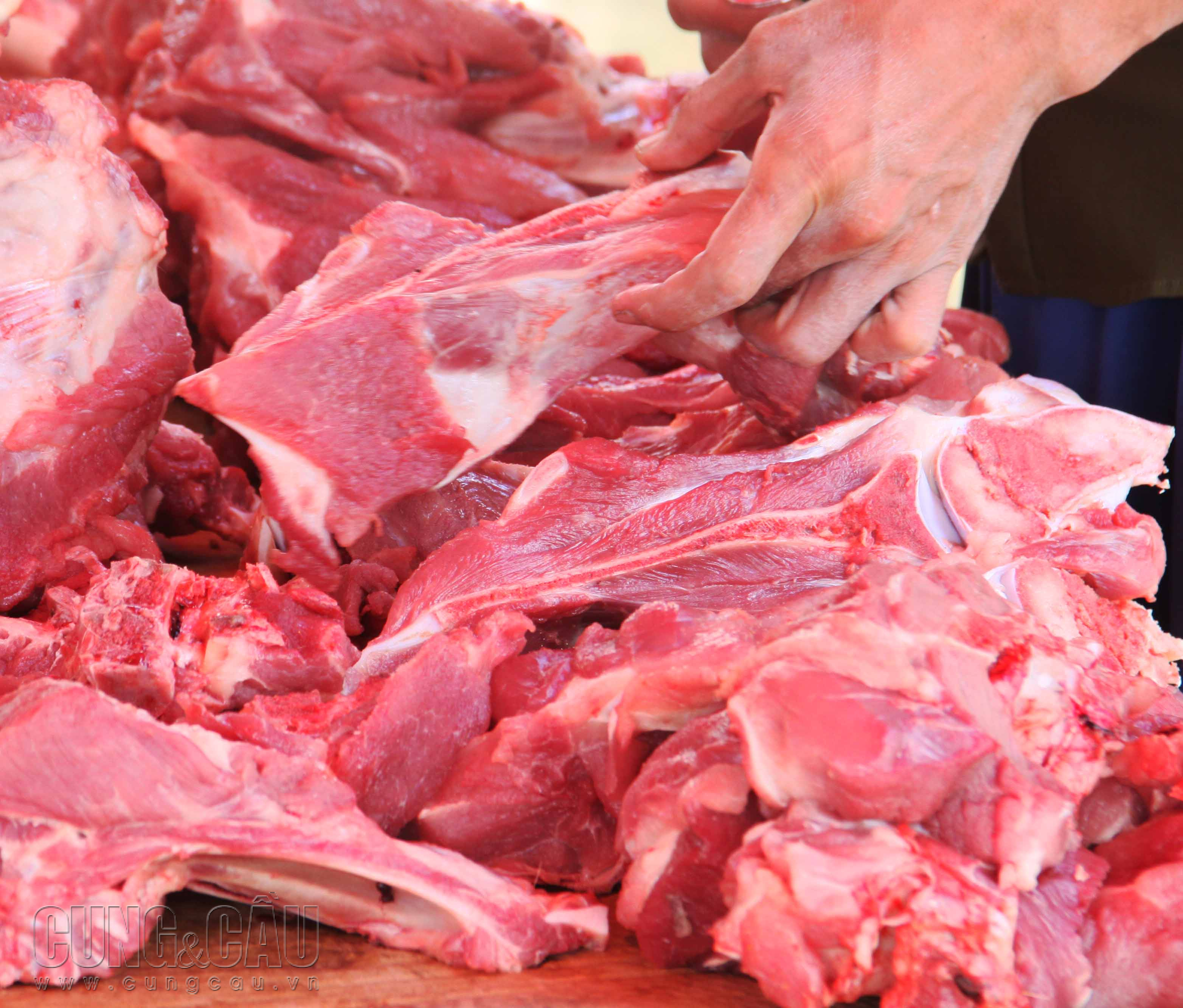 Giá thịt heo bán lẻ giữ ổn định.