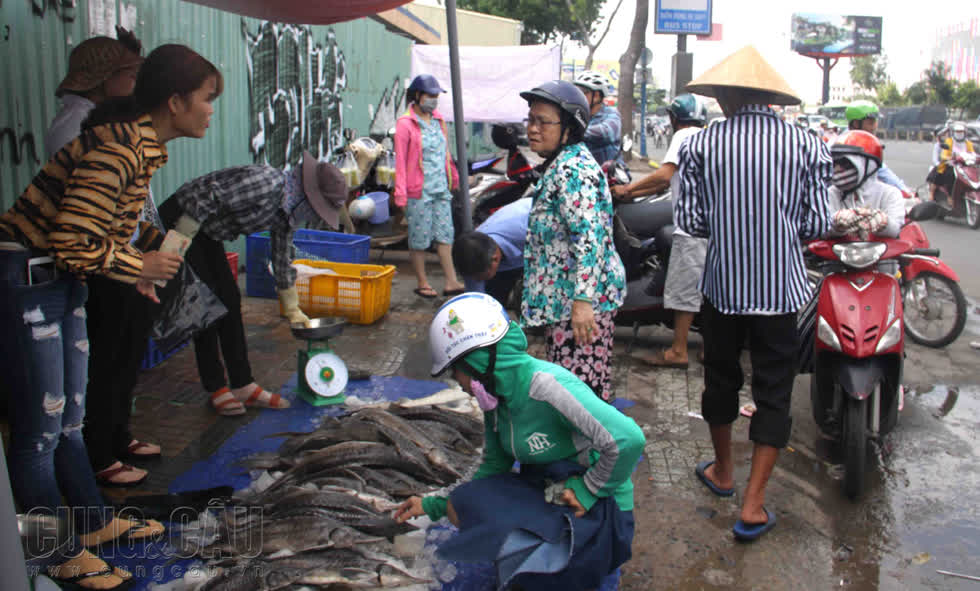 Hang cá tầm chết do mưa lũ tại Lâm Đồng được bày bán trên đường Trường Chinh.