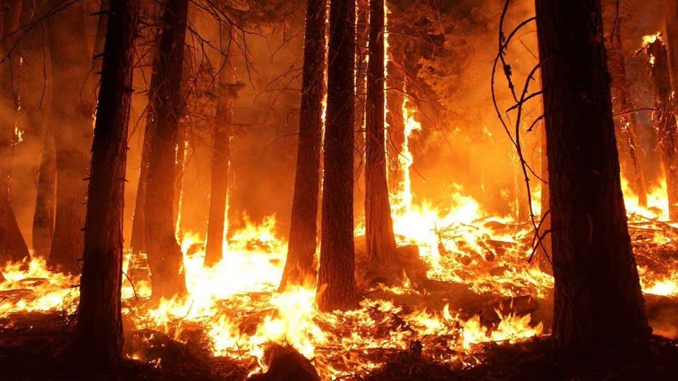   Ngày 29/7, Nga đã tuyên bố tình trạng khẩn cấp về cháy rừng tại 4 vùng của Siberia và Viễn Đông sau khi những đám cháy lớn lan rộng. Ảnh: The Moscow Times.  