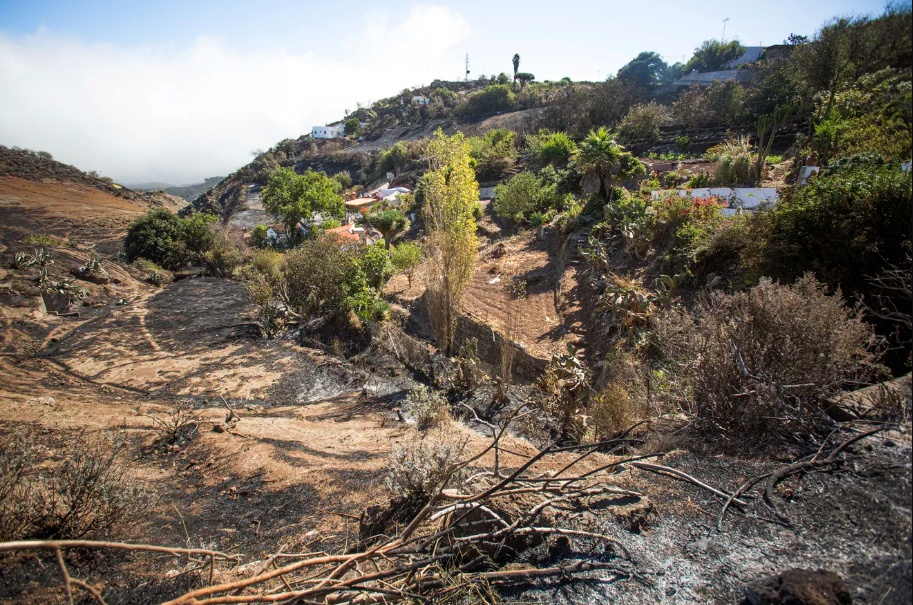   Quang cảnh làng mạc sau vụ cháy rừng trên đảo Gran Canaria của Tây Ban Nha, ngày 21/8. Ảnh: AFP.  