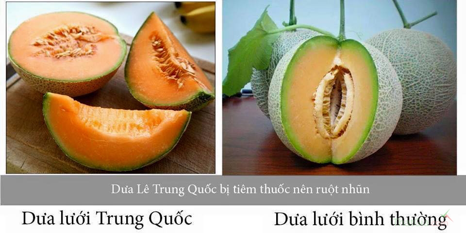 Dưa lưới Trung Quốc và dưa lưới Việt Nam có sự khác biết nhận biết rõ nhất ở phần ruột có màu cam sậm, dễ bị nhũn.