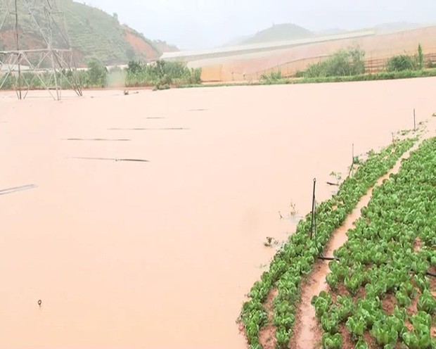 Tình hình nước ngập tại huyện Lạc Dương.
