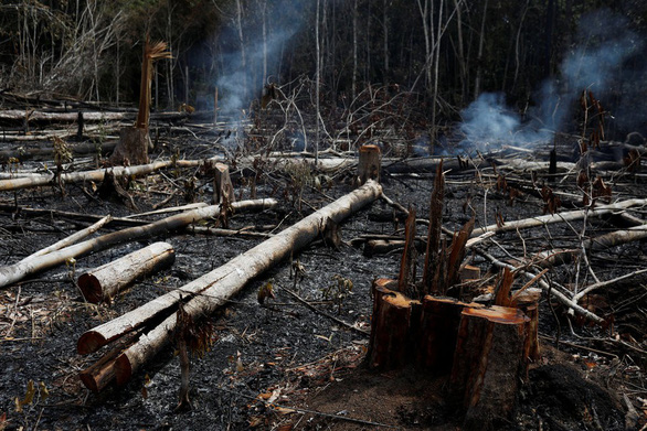 Cháy rừng ở Amazon.