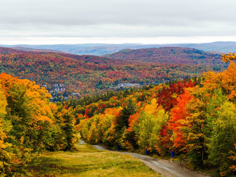   Từ giữa đến cuối tháng Chín là khoảng thời gian lý tưởng nhất để chiêm ngưỡng sắc thu lan tràn trên khắp Quebec với những tán lá màu đỏ, cam và vàng đan xen nhau. Để có được trải nghiệm độc đáo hơn cả, bạn hãy nghỉ lại trong các ngôi nhà Hobbit nằm trong rừng cây. Ảnh: Shutterstock David Boutin.  
