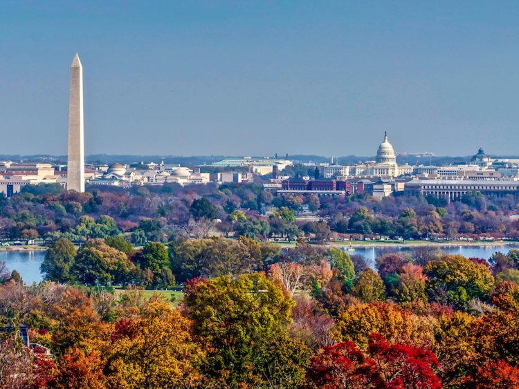 Chiêm ngưỡng những công trình kiến trúc nổi tiếng ở Washington D.C. được bao trùm bởi những tán lá mang hương sắc mùa thu. Ảnh: Shutterstock MH Anderson Photography.