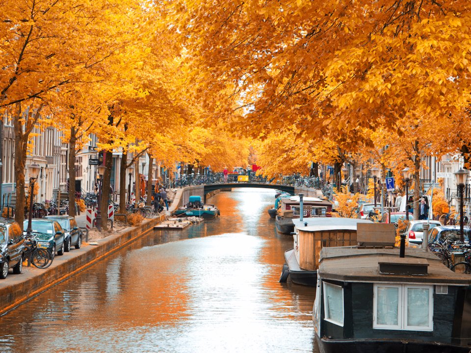   Dù là lựa chọn thăm thú thành phố Amsterdam theo đường bộ với xe đạp hay đường thủy trên các con kênh, thì vẻ đẹp mang sắc vàng của những tán lá mùa thu rực rỡ sẽ làm bạn choáng ngợp đến nỗi quên mất rằng vào mùa này thời gian ban ngày của thành phố chỉ kéo dài 9 tiếng. Một trong những con kênh của Amsterdam. Ảnh: Shutterstock Skreidzeleu.  