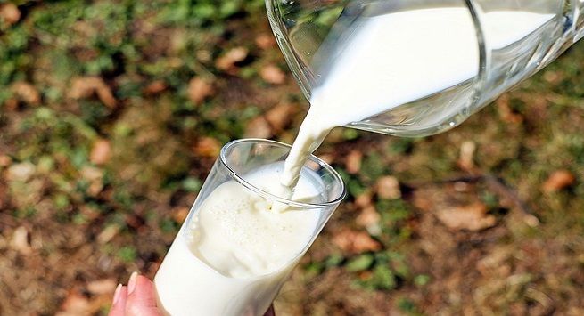 Sữa có thể thoa trực tiếp lên mặt để dưỡng da, trị mụn không?  