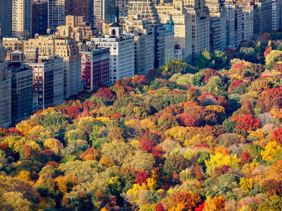   Thành phố hiện đại điển hình với những dãy nhà bê tông nhiều tầng san sát nhau được thiên nhiên ưu đãi ban tặng cho rừng cây với sắc màu sặc sỡ mỗi độ thu về. Công viên rộng 843 mẫu Anh này là một trong những địa điểm được lựa chọn quay phim nhiều nhất ở New York. Ảnh chụp từ trên cao Công viên Trung tâm New York. Ảnh: Shutterstock Francois Roux.  