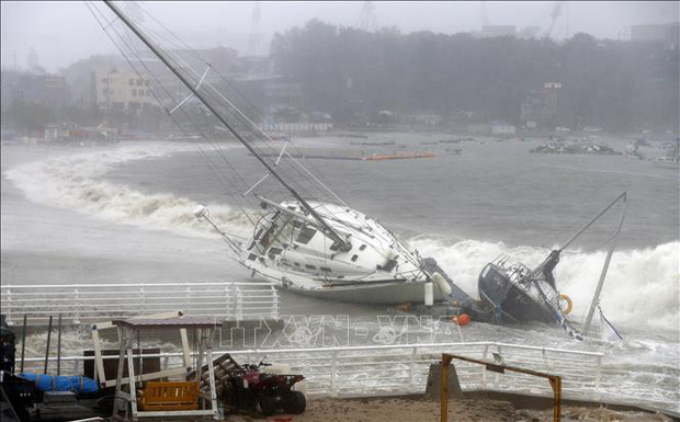 Ngoài việc ảnh hưởng tới một số khu vực của Nhật Bản, trong ngày 22/9, bão Tapah cũng đang đe dọa  tới một số khu vực phía Nam Hàn Quốc. 