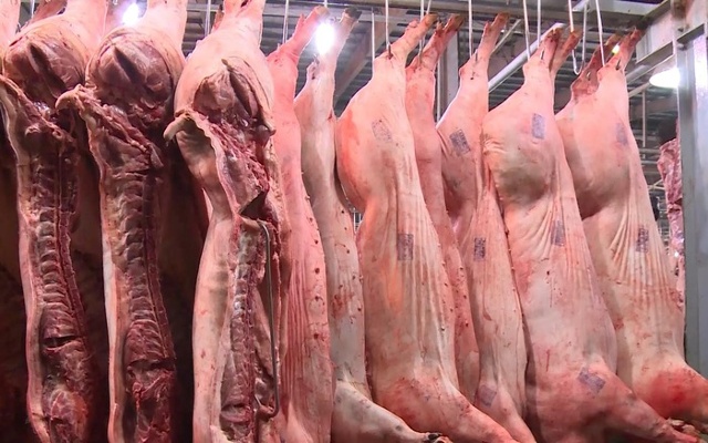 Thịt heo sỉ tăng vọt lên 75.000 đồng/kg