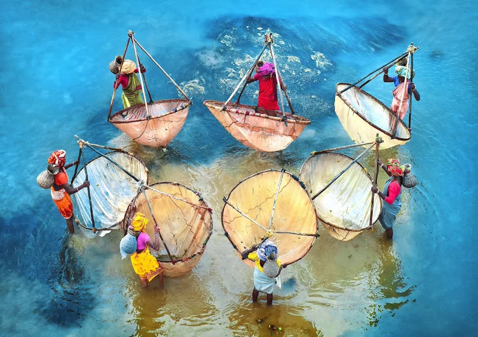   Nhóm phụ nữ đi câu cá ở phía Tây Bengal. Ảnh: Pranab Basak.  