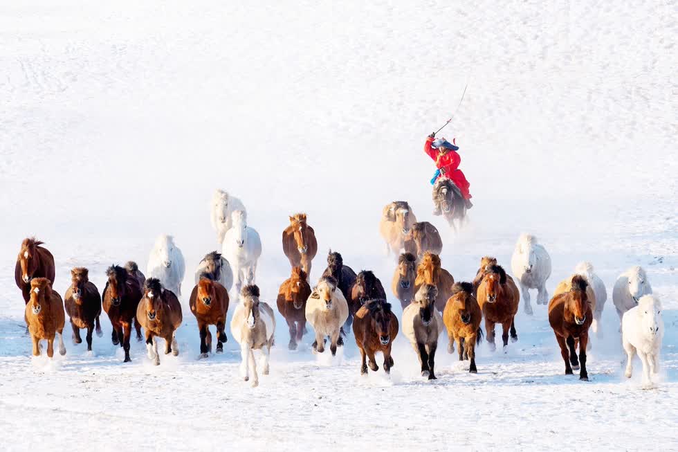   Mùa đông ở Mông Cổ. Ảnh: Zay Yar Lin.  