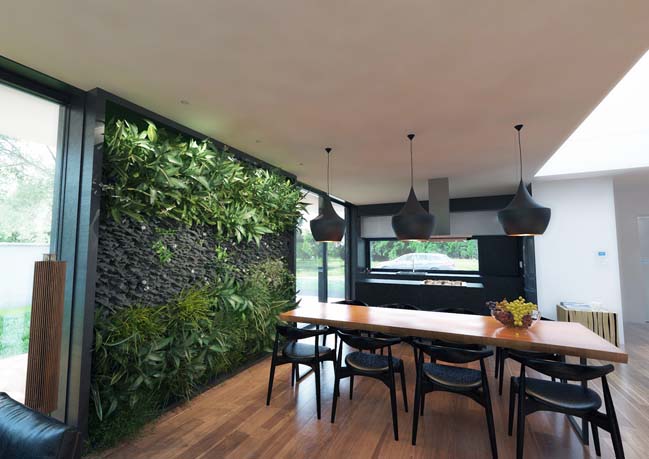 Mang không gian xanh vào nhà bằng cách thiết kế sân vườn mini