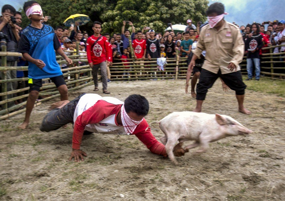 Đối với người Hồi giáo, chiếm gần 90% dân số Indonesia, việc ăn hoặc thậm chí chạm vào lợn được coi là haram - bị cấm. 