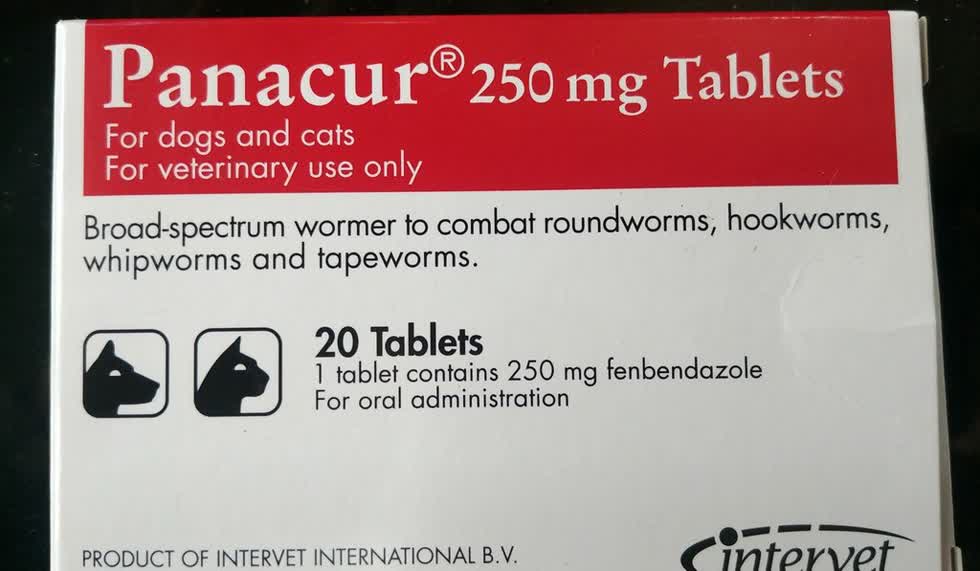 Fenbendazole được sử dụng trong các loại thuốc tẩy giun giành cho chó mèo. Ảnh: SCMP.