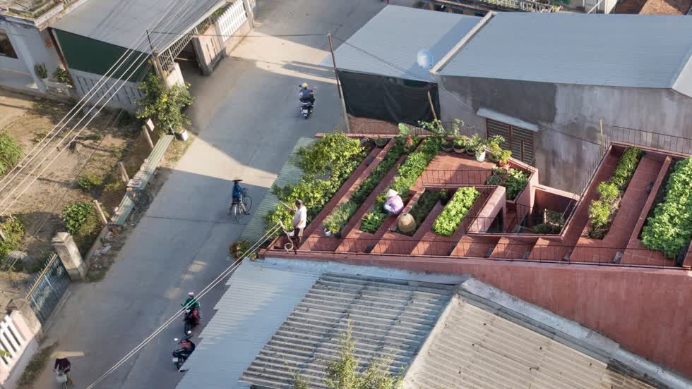 Ngôi nhà đỏ có vườn rau kiểu ruộng bậc thang trên mái ở Quảng Ngãi    