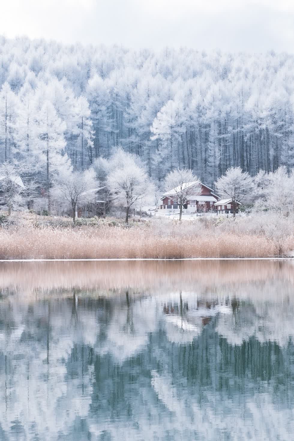 Ngắm mùa tuyết tuyệt đẹp tại Nhật Bản qua góc nhìn nhiếp ảnh gia Kotaro Kato