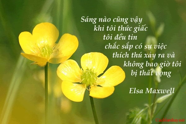 Tử vi hàng ngày 7.1.2020 của 12 con giáp: Sửu có triển vọng nghề nghiệp, Thìn tài chính rất tốt