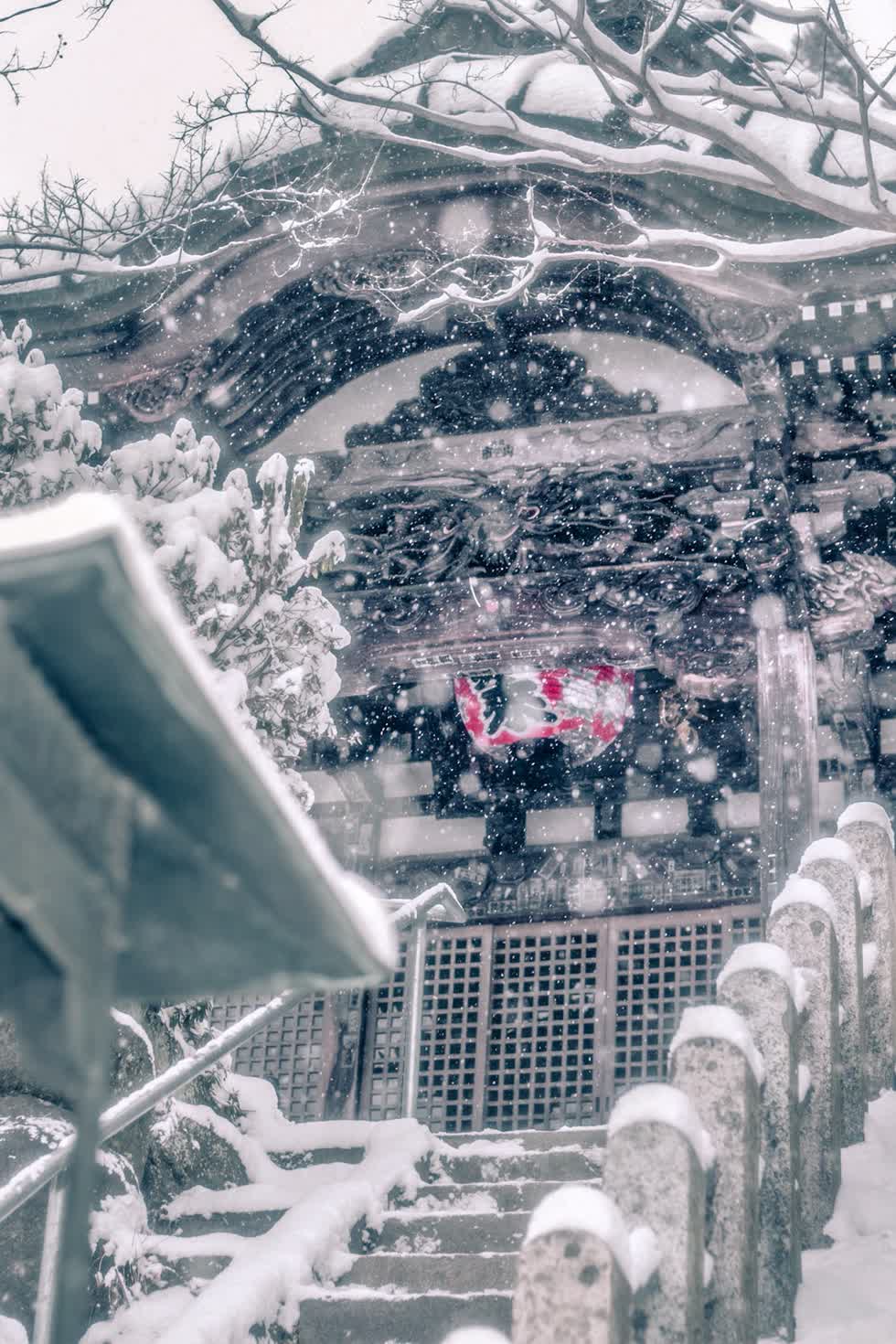 Ngắm mùa tuyết tuyệt đẹp tại Nhật Bản qua góc nhìn nhiếp ảnh gia Kotaro Kato