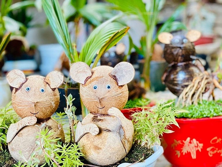 Dừa bonsai hình chuột bán với giá 600.000 đồng/chậu. Ảnh: VnExpress
