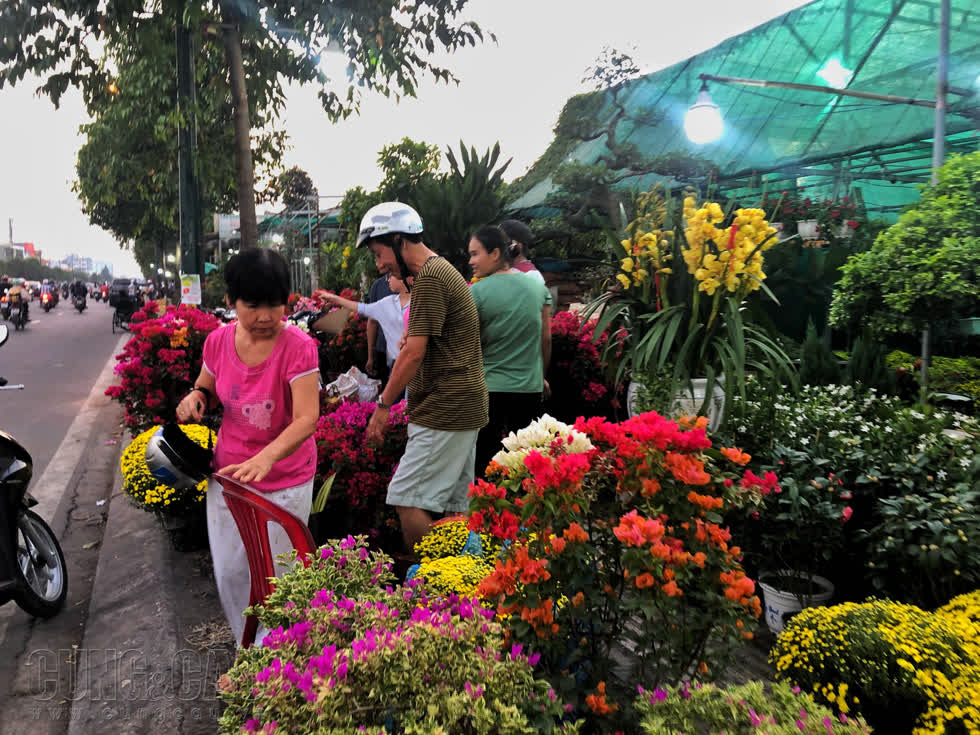                   Nhiều loại hoa, kiểng Tết được bày bán ở đường Phạm Văn Đồng (Thủ Đức, TP.HCM)    