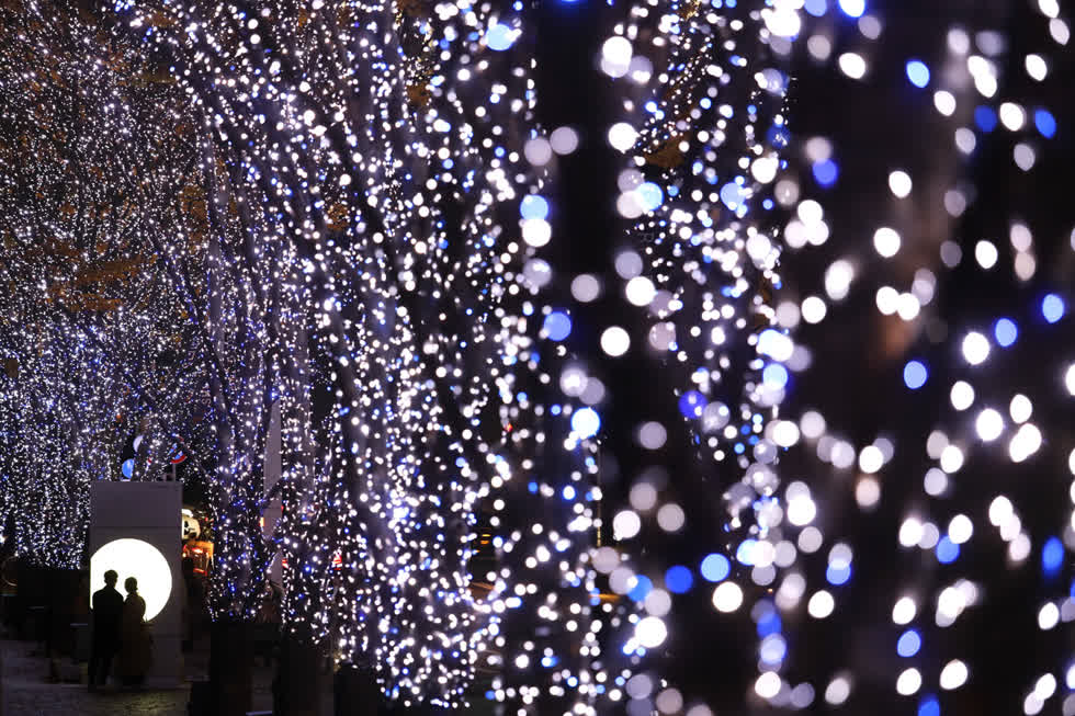 Một cặp vợ chồng nhìn vào bản đồ trên một con đường được trang trí đèn Giáng sinh ở quận Roppongi của Tokyo, Nhật Bản, vào ngày 8/12. Ảnh: AP.